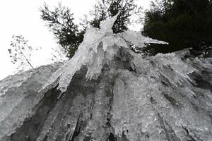 icicles frozen ice on tree branches photo