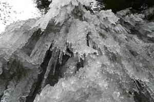 carámbanos hielo congelado en las ramas de los árboles foto