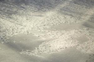 Texture of snow. Snow background. Cold surface. photo