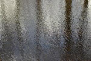 Waves on water. Wind on surface of water. Reflection in puddle. photo