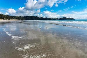 Onetangi Beach Waiheke Island New Zealand photo