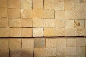 wood logs in sawmill detail photo