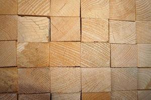 wood logs in sawmill detail photo