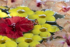 Spa flowers in the water photo