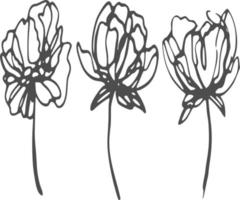 rosas vectoriales en blanco y negro vector