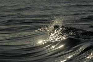 ocean sea wave velvet background at sunset photo