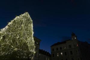 ljubljana lugar principal árbol de navidad foto
