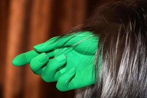 green hand on animal fur clothes detail photo