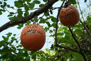 carved halloween pumpkin hanging froma a tree photo