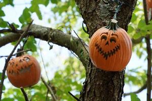 carved halloween pumpkin hanging froma a tree photo