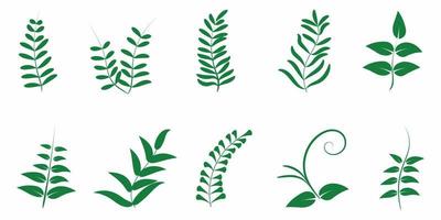set of floral leaf illustration vector