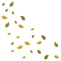 illustration maple autumn falling leaves vector