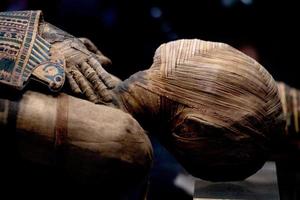 egypt mummy head close up photo