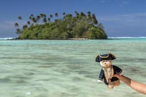 James Cook teddy bear plush on rarotonga cook island polynesia beach paradise lagoon background photo