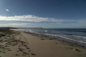 todos santos baja california beach photo