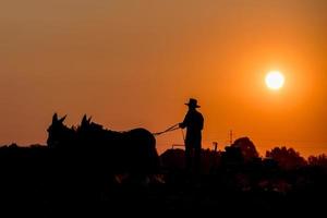 amish mientras cultiva con caballos al atardecer foto