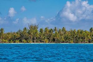 french polynesia coconut beach crystal water photo