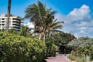 MIAMI, USA - FEBRUARY 2, 2017 - people relaxing in miami beach promenade waterfront photo