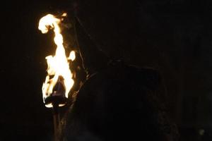 witch in the black holding a torch photo