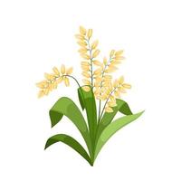 rice plant cartoon vector illustration