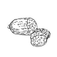 salami sausage sketch hand drawn vector