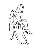 banana monochrome pop art vector