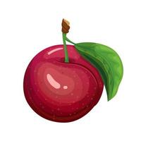 red plum cartoon vector illustration