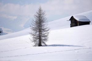 wood cabin hut in the winter snow background photo