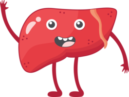 Liver of human . Cartoon characters . png