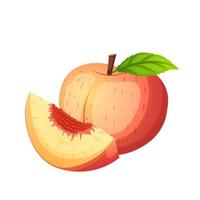 fruit peach cartoon vector