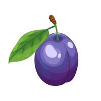 blue plum cartoon vector illustration