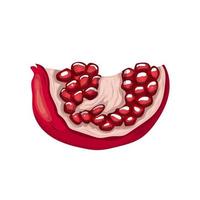 pomegranate ripe cartoon vector illustration