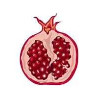 pomegranate cut cartoon vector illustration