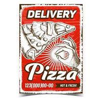 Pizza Dish Delivery Service Promo Poster Vector