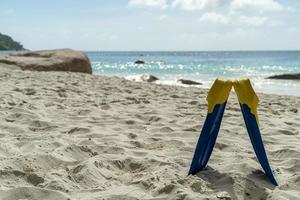 fins on tropical sandy beach photo