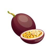 passion fruit cut cartoon vector illustration