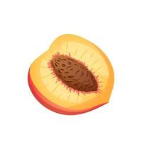 fruit peach cartoon vector