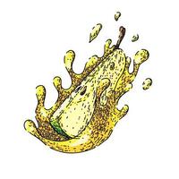 pear splash sketch hand drawn vector