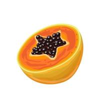 papaya cut cartoon vector illustration