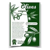 Olives Original Organic Product Poster Vector