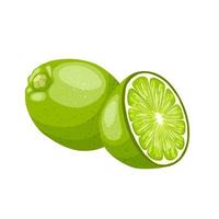 lime cut cartoon vector illustration