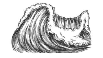 Breaking Pacific Ocean Marine Wave Storm Vector