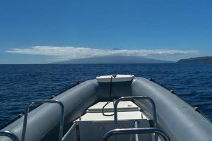 whale watching zodiac in pico azores photo