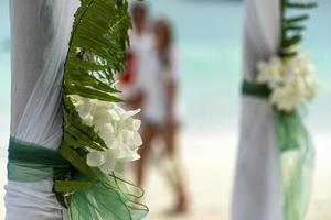 boda en playa paraíso tropical foto