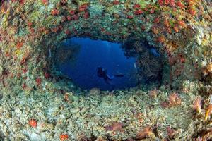 scuba diver diving Ship Wreck in maldives indian ocean photo