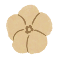 hand gezeichnete ästhetische illustration der blume png