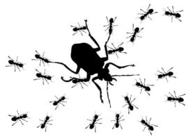 Hunting of ants for the big bug. A vector illustration