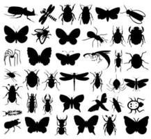 The big collection of insects. A vector illustration