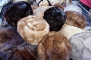 mink hat market photo