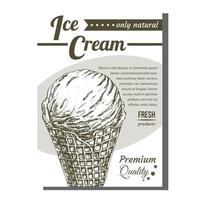 Ice Cream In Waffle Cornet Snow Cone Banner Vector